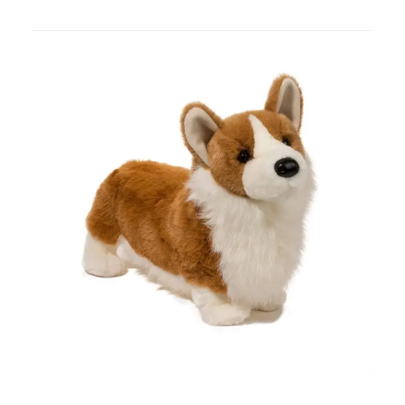 Chadwick Corgi