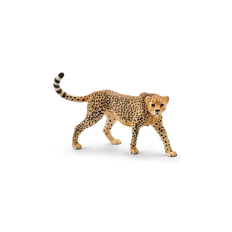 Cheetah: Female