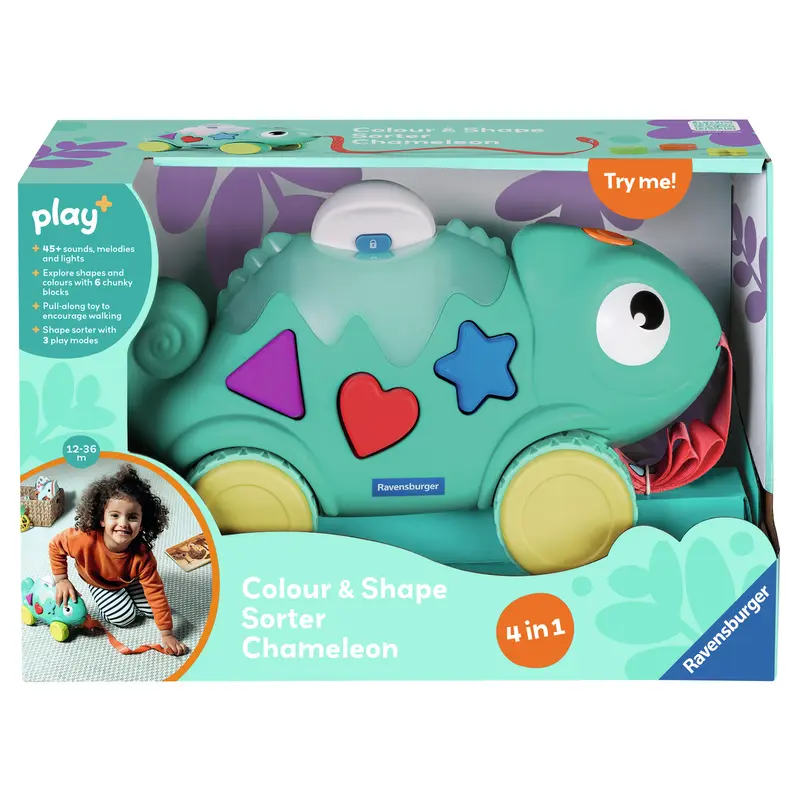 Color & Shape Sorter: Chameleon