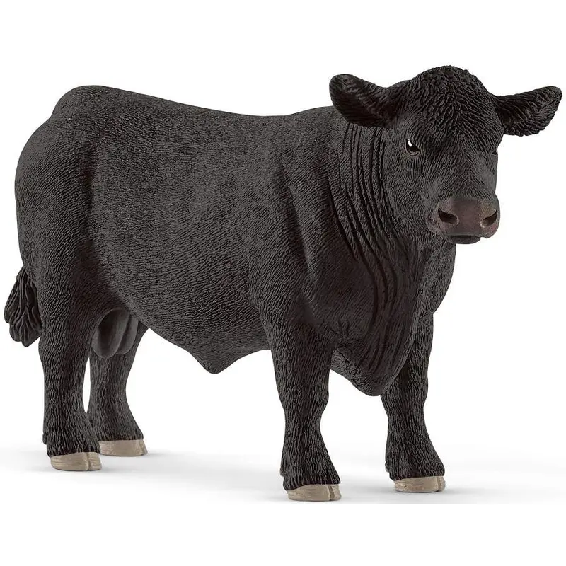Black Angus Bull