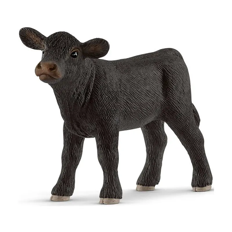 Black Angus Calf