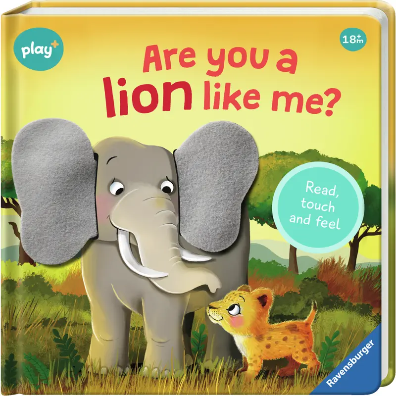 Book: Are You A Lion Like Me?
