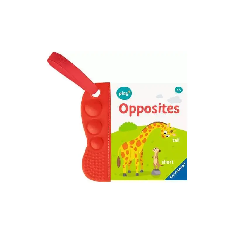 Book Flip & Pop: Opposites