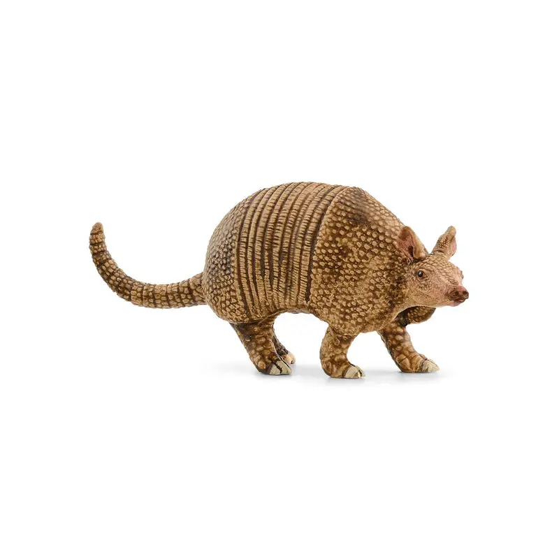 Armadillo
