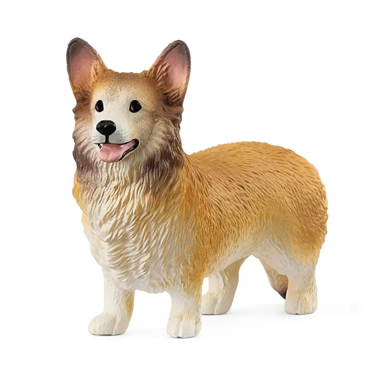 Welsh Corgie 2025