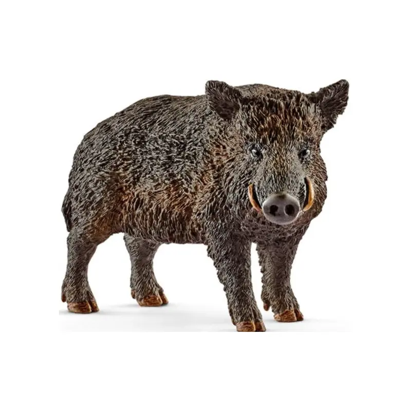 Wild Boar