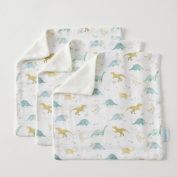 Dallying Dinosaurs Facewasher Set of 3
