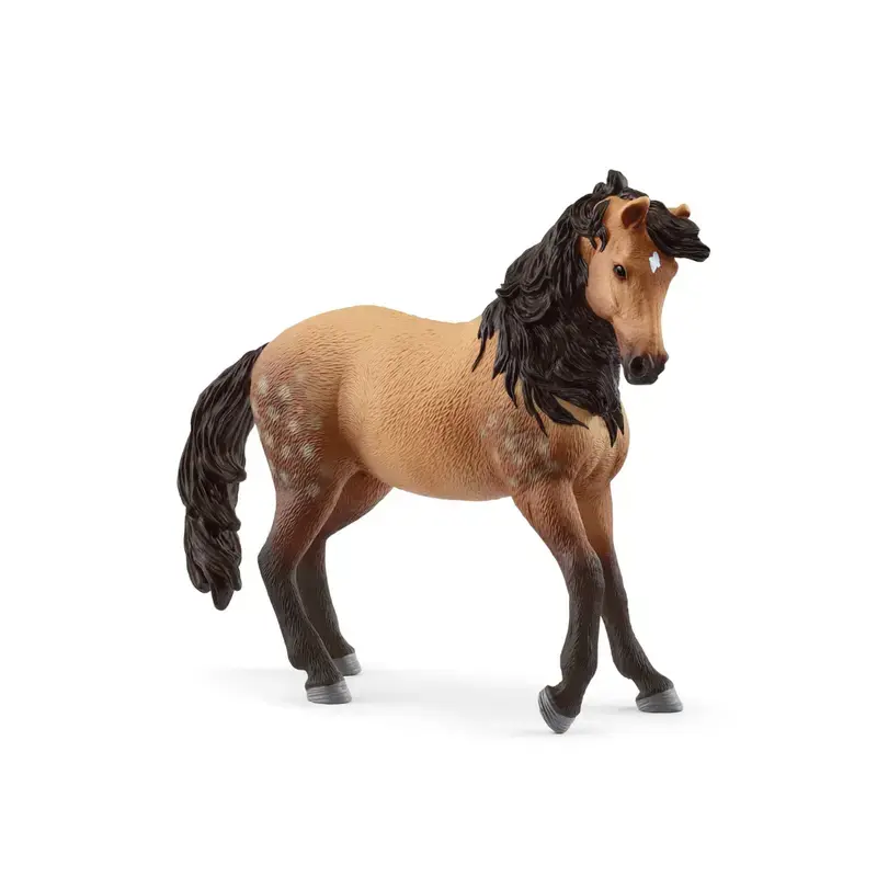 Andalusian Mare 2025