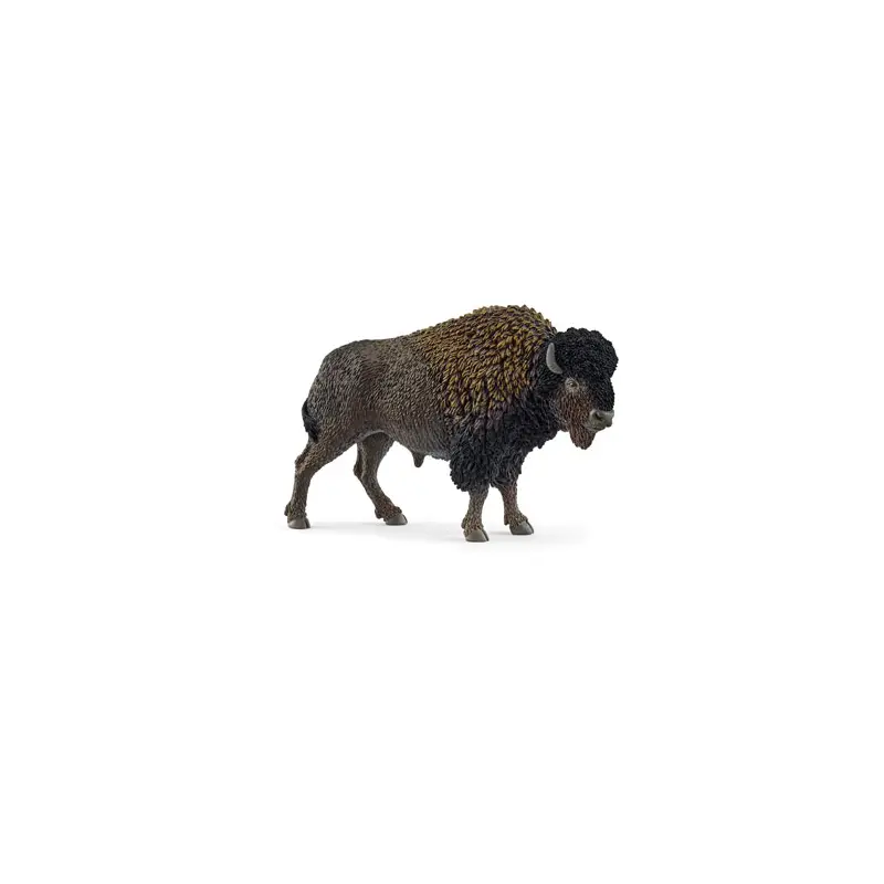 Bison