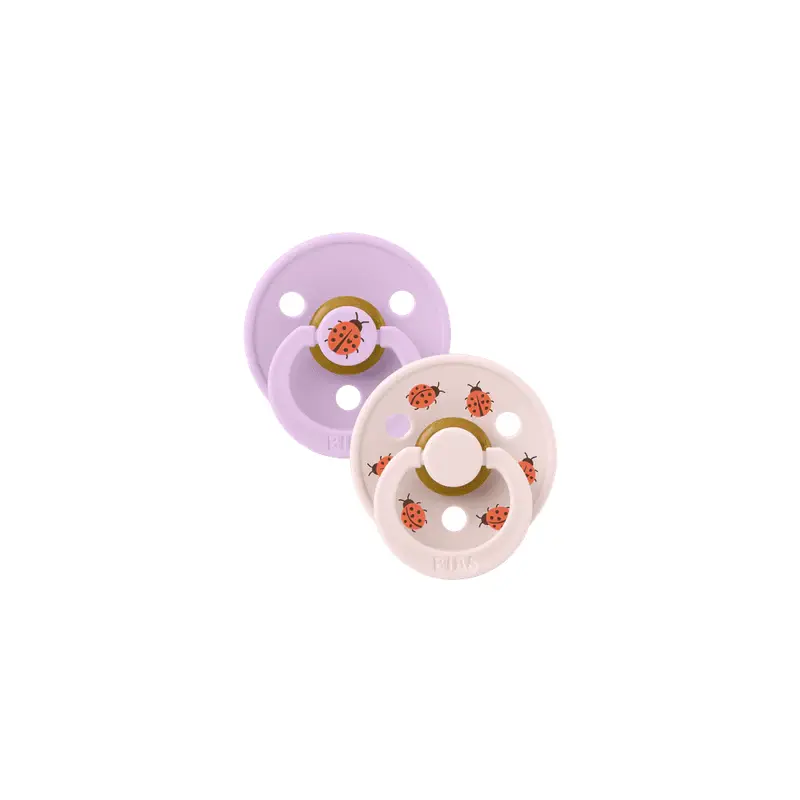 Bibs Pacifier- Studio Urban Garden Collection - Size 1 (Birth - 6 Months)