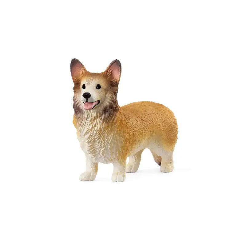 Welsh Corgi