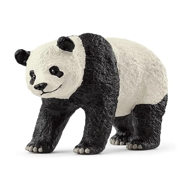 Giant Panda 2025