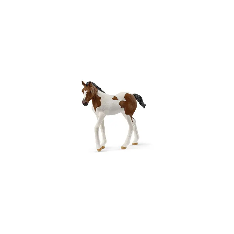 Paint Horse Foal 2025