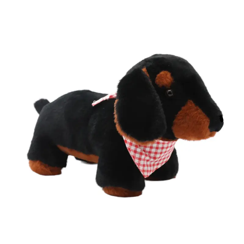 Hunter the Dachshund