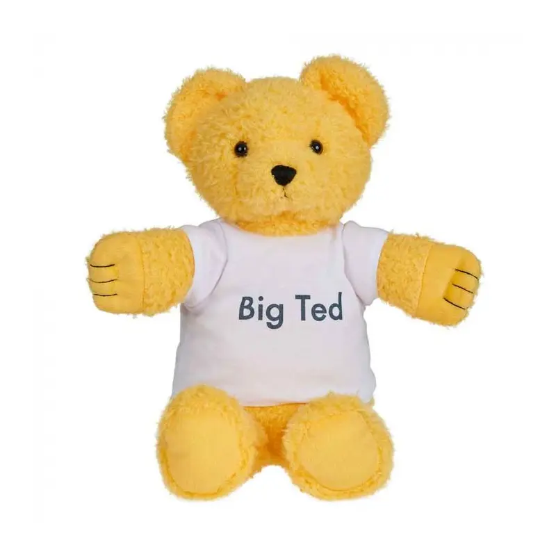 Big Ted Plush 30cm