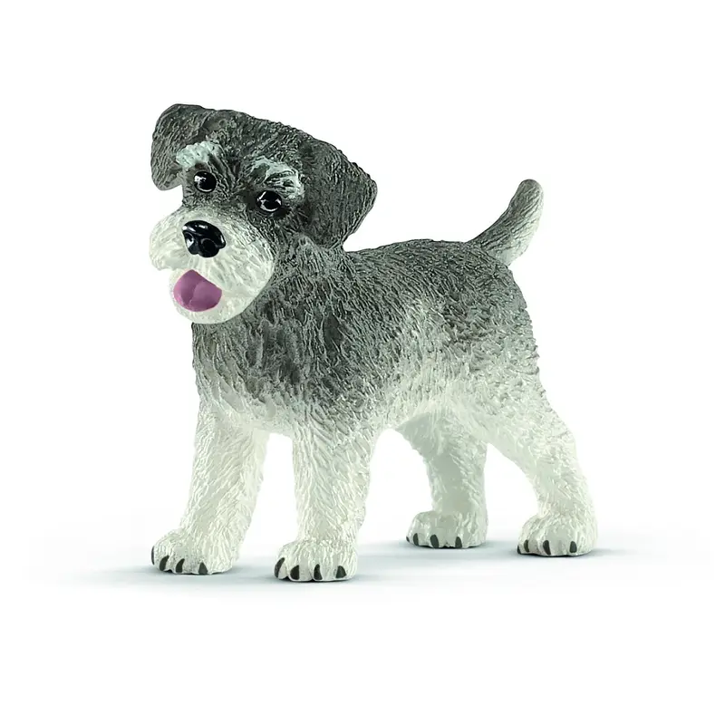 Miniature Schnauzer