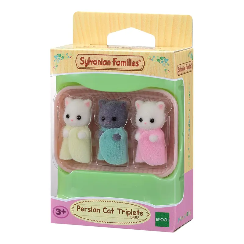 Persian Cat Triplets