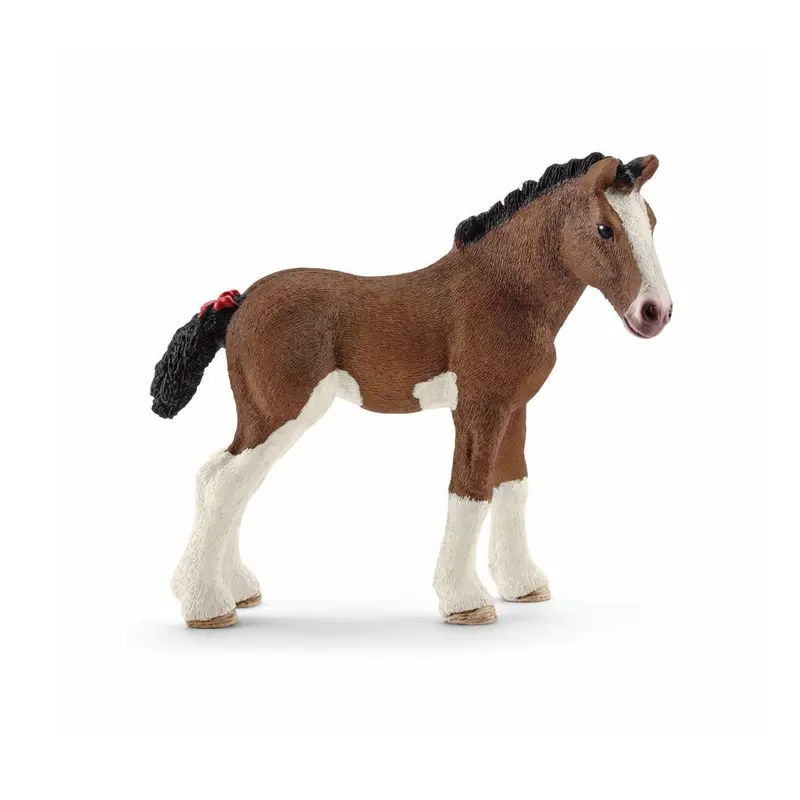 Clydesdale Foal