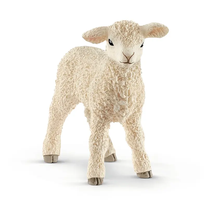 Lamb