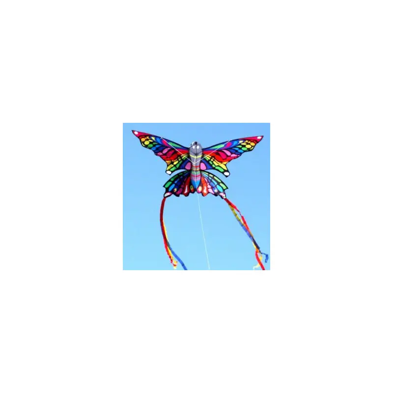 Rainbow Butterfly Kite