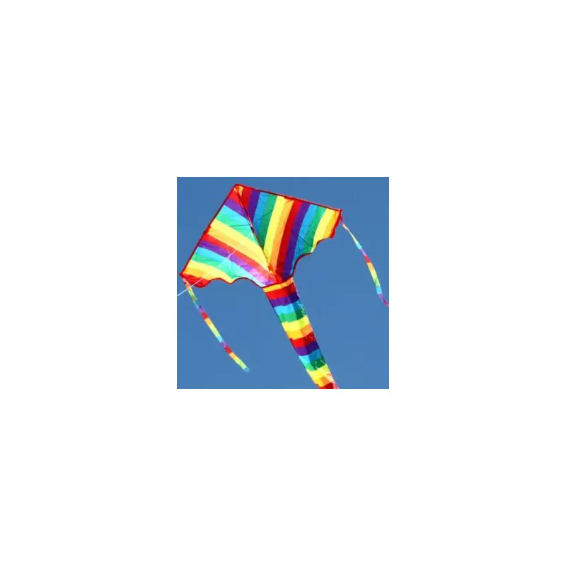 Rainbow Delta Kite