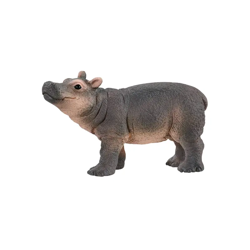 Hippopotamus Calf