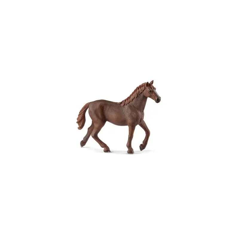 English Thoroughbred Mare