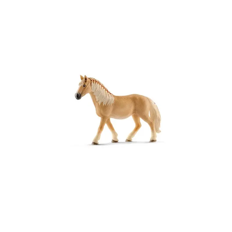 Haflinger Mare