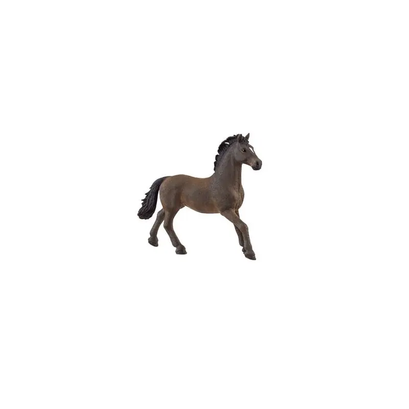 Oldenburger Stallion