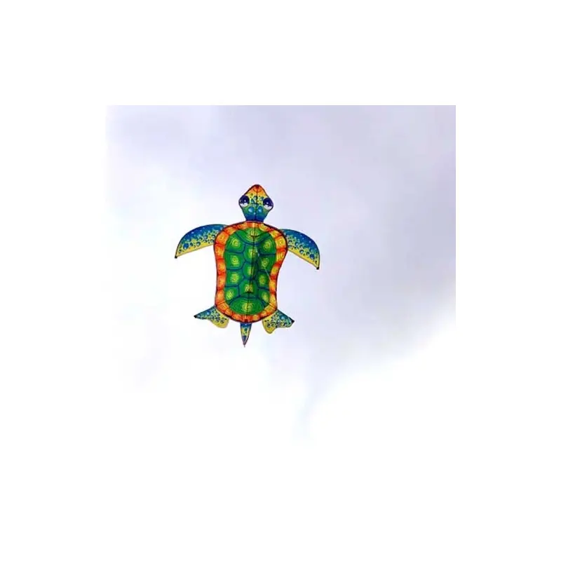 Turtle Kite