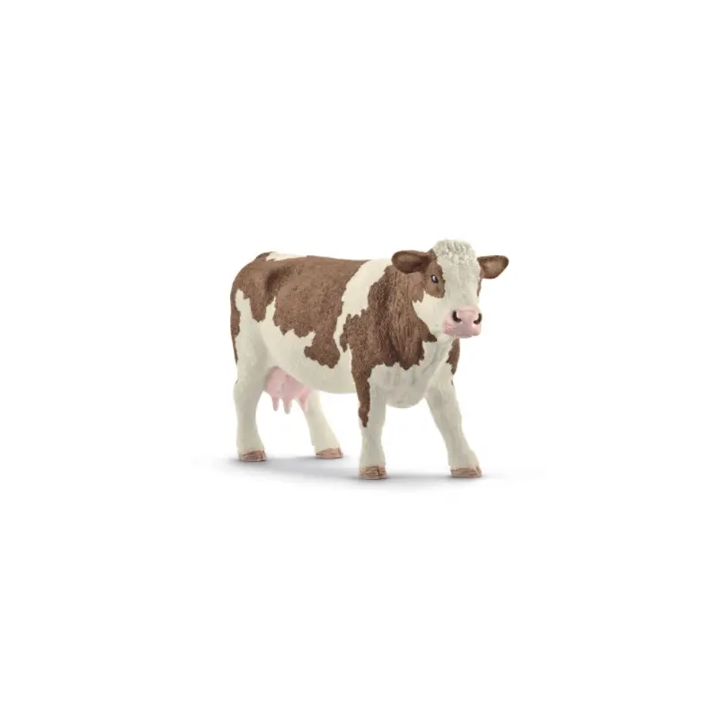 Simmental Cow
