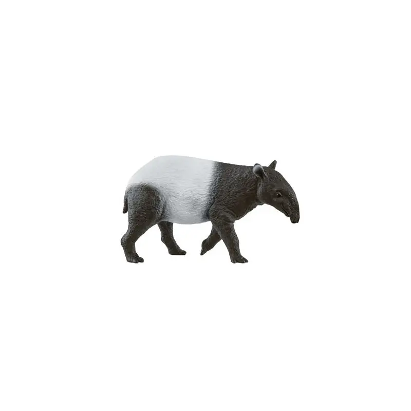 Tapir