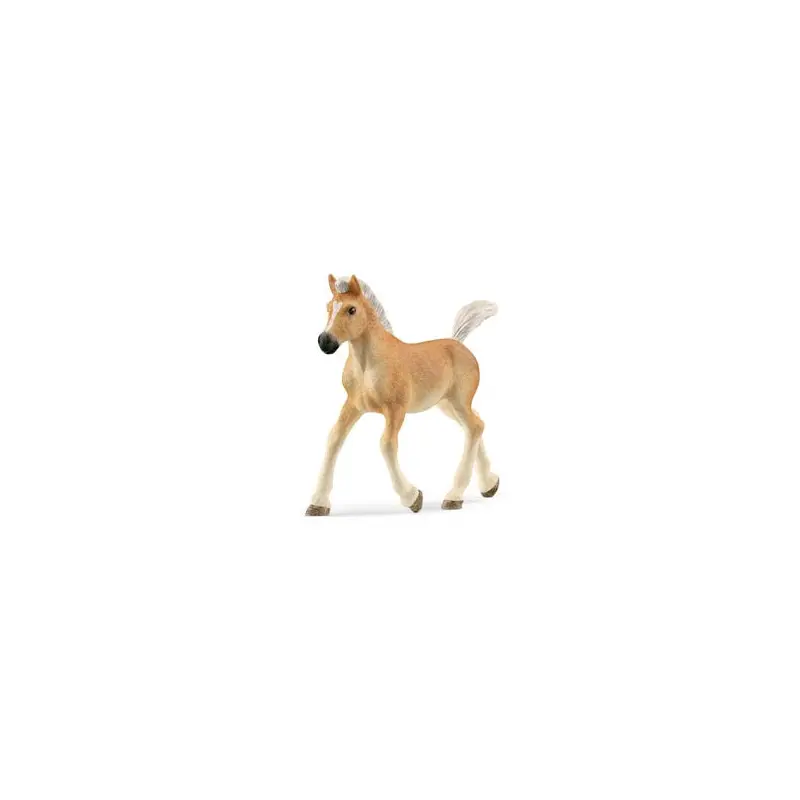 Haflinger Foal V2
