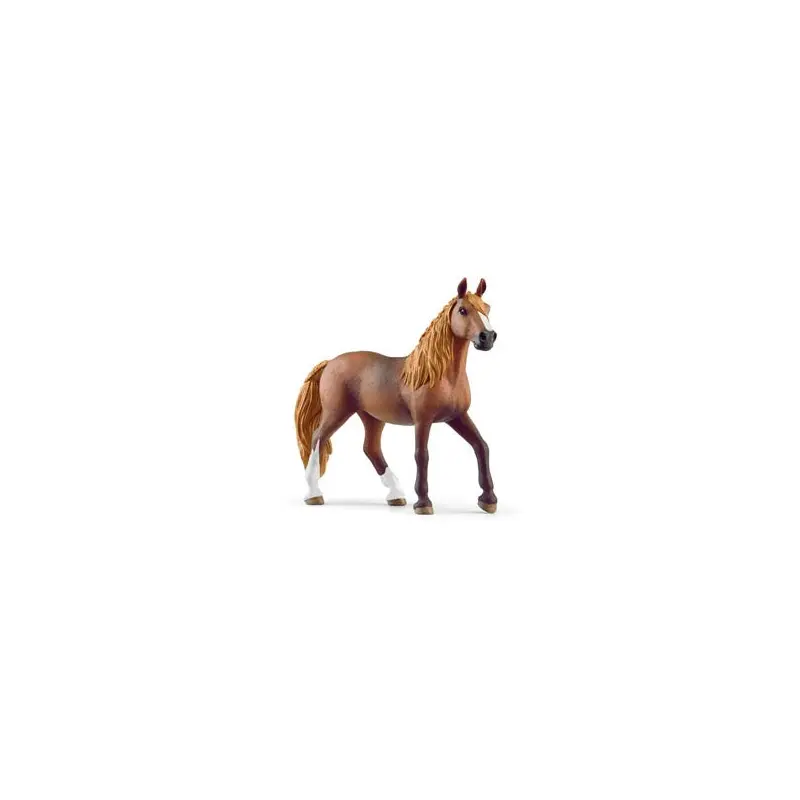 Peruvian Paso Mare