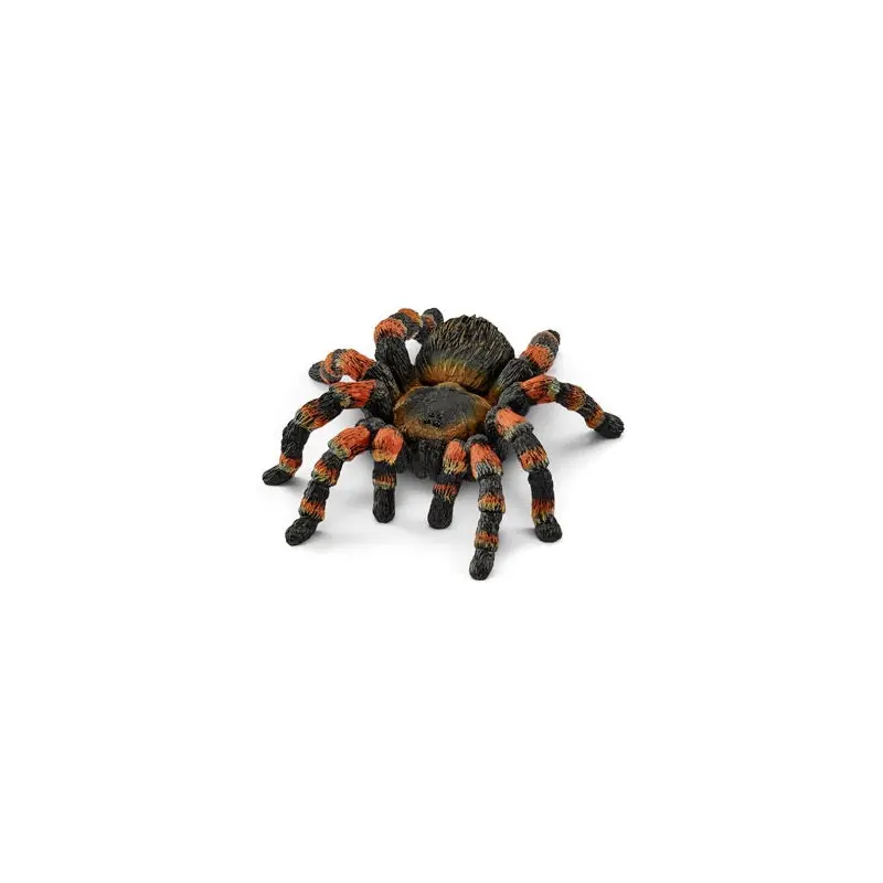 Tarantula