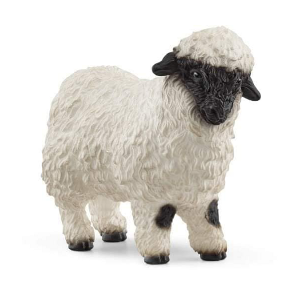 Valais Blacknose Sheep