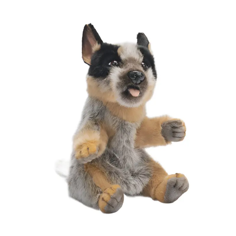 Hansa Blue Heeler