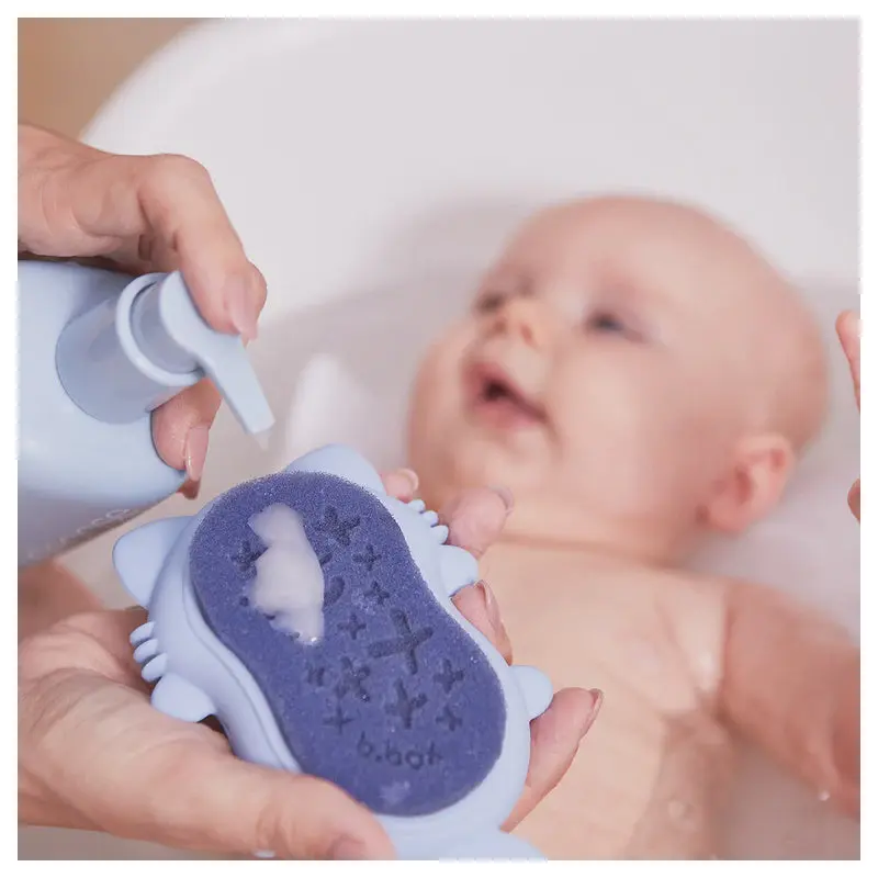 Replacement Sponge Twin Pack