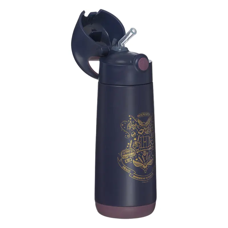 500 ml Insulated Drink Bottle - Harry Potter