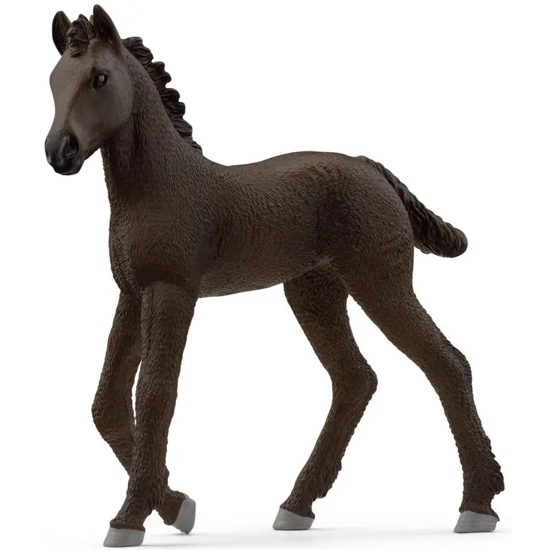 Friesian Foal