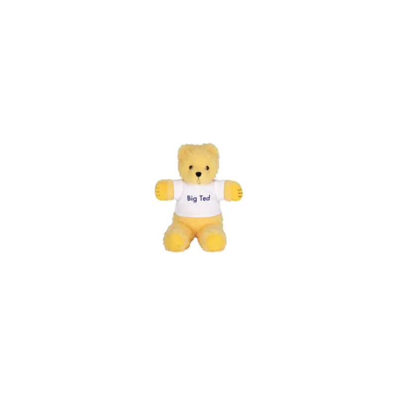 Big Ted Beanie Soft Toy