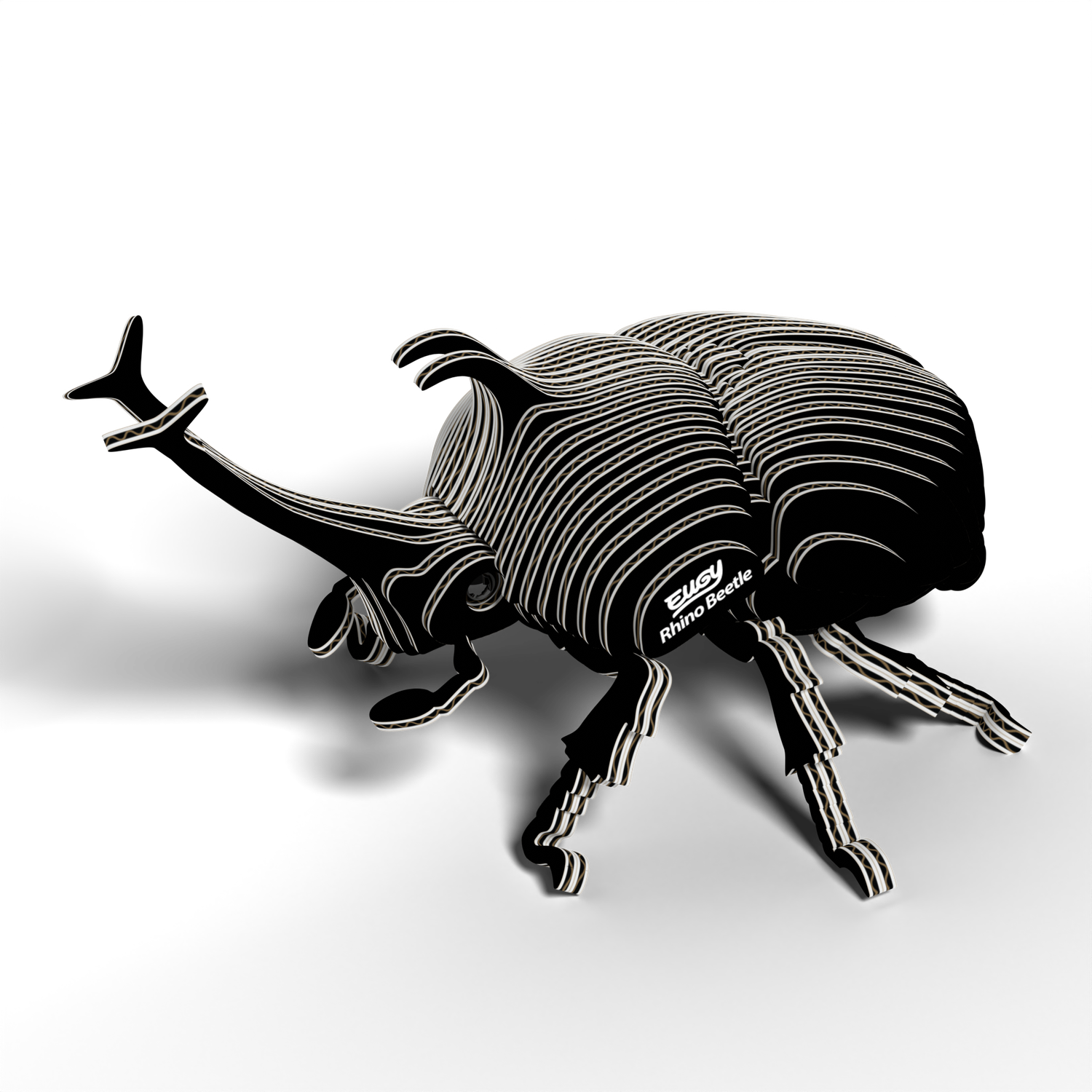 3D Cardboard Model Kit - Rhino Beetle