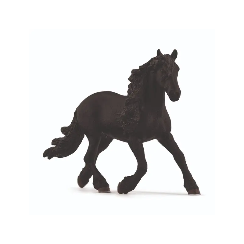 Friesian Stallion