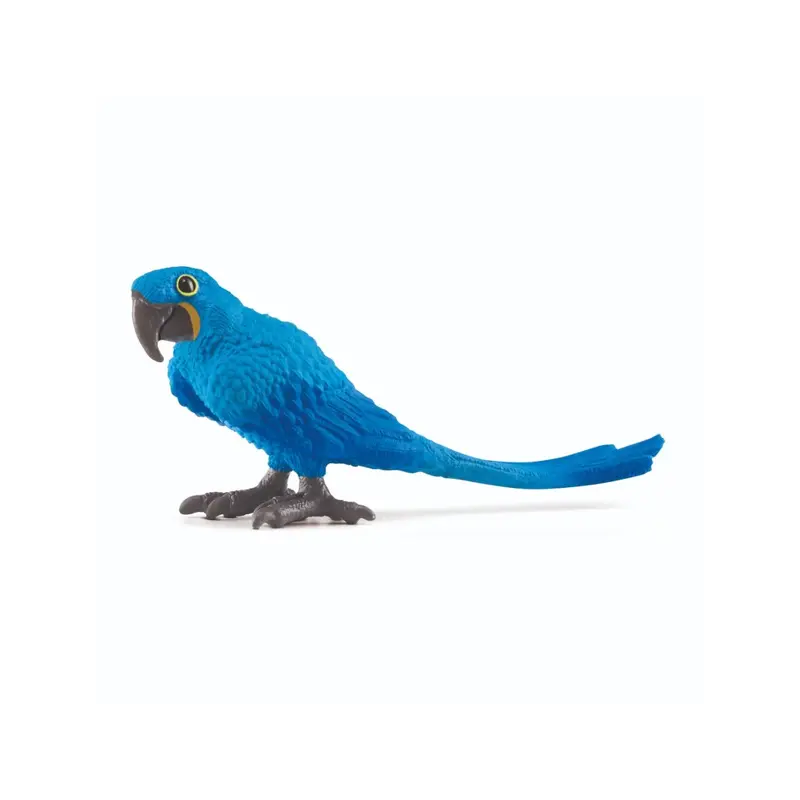 Hyacinth Macaw