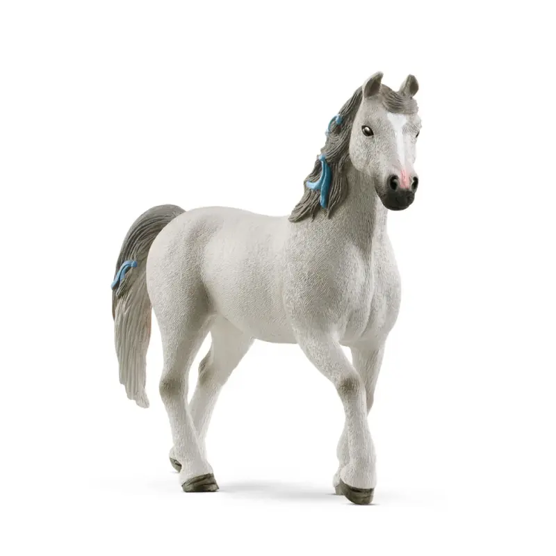 Quarter Horse Gelding