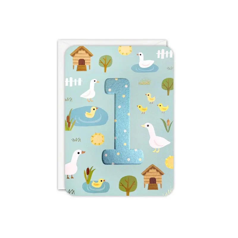 Happy Birthday/1st Ducks