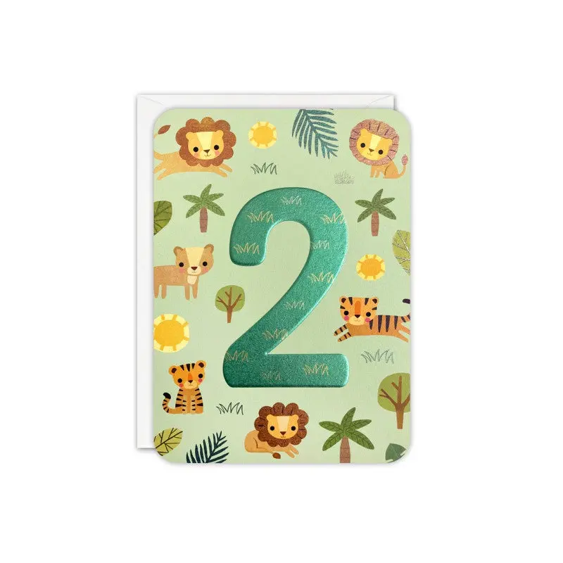 Happy Birthday/2nd Lions