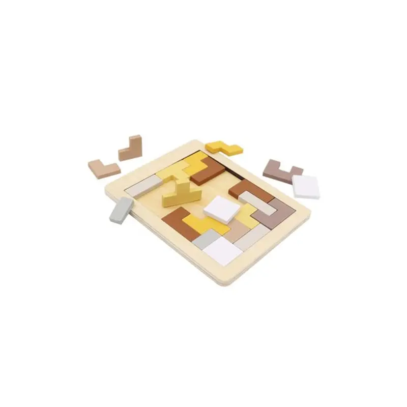 Wooden Hexagon & Pentomino Brainteaser