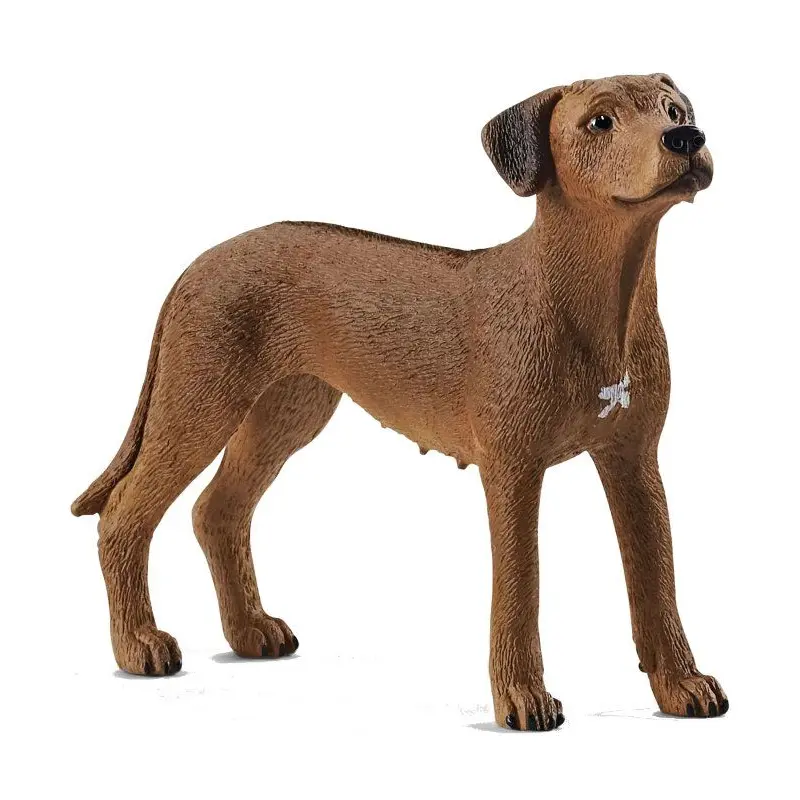 Rodesian Ridgeback