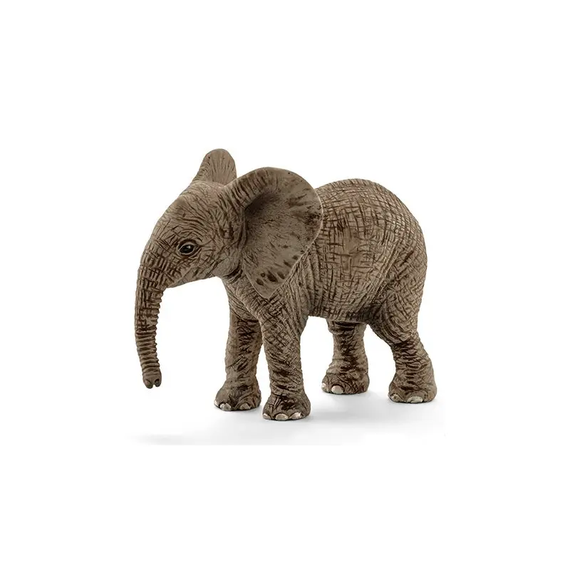 African Elephant: Calf